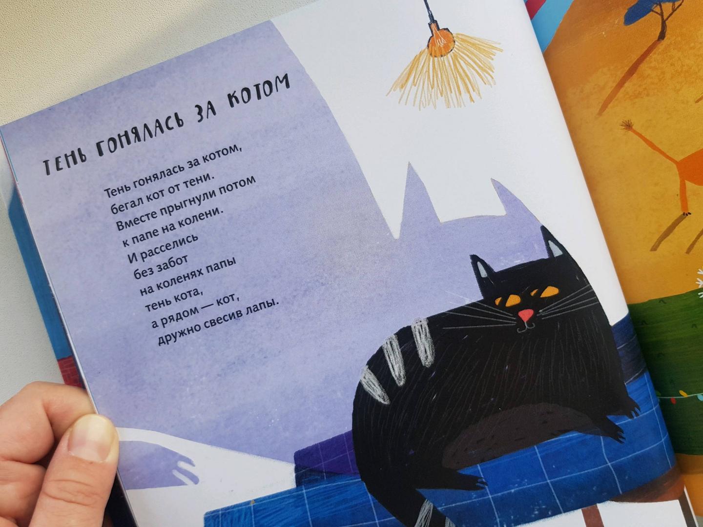 Иллюстрация 33 из 39 для Тень гонялась за котом - Дмитрий Сиротин | Лабиринт - книги. Источник: Zakatnoe Solnce