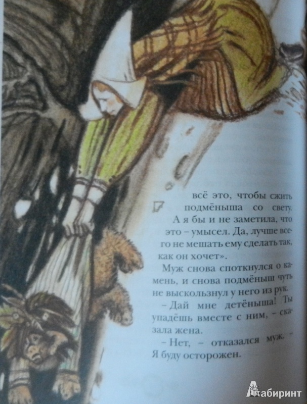 Иллюстрация 53 из 65 для Принцесса Линдагуль и другие сказки | Лабиринт - книги. Источник: ИринаС