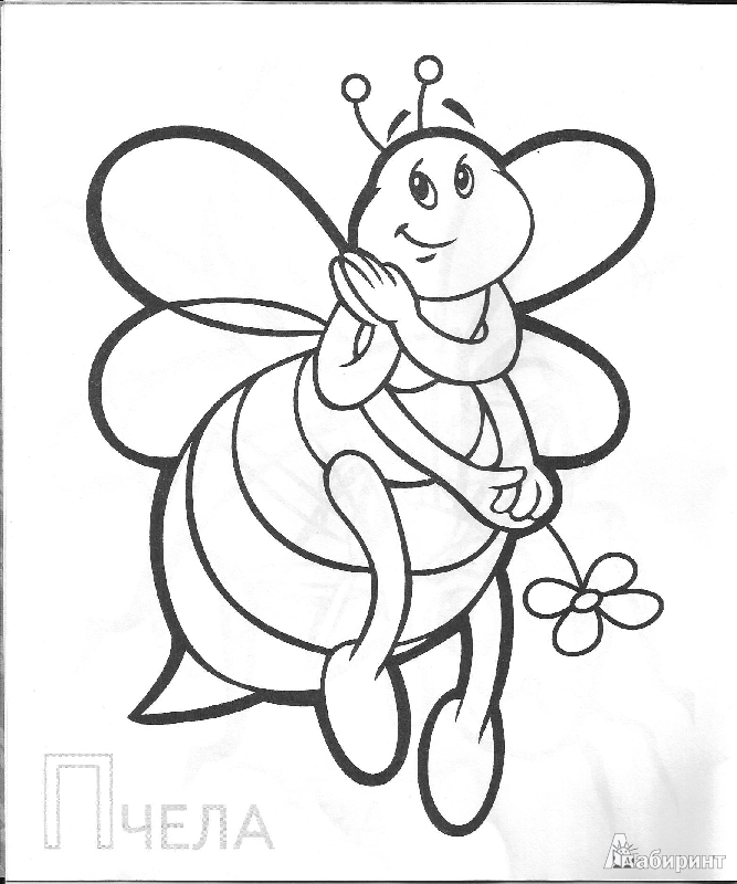 Иллюстрация 4 из 13 для Забавные насекомые | Лабиринт - книги. Источник: С.  Надежда