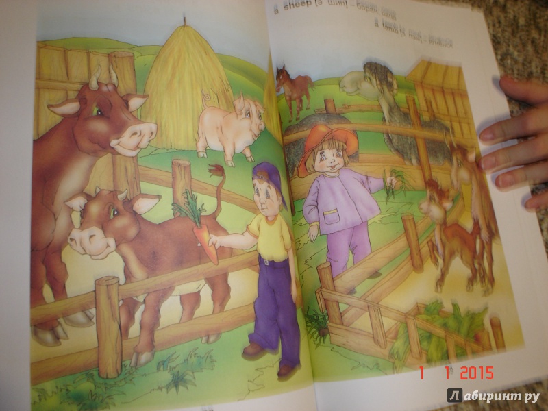 Иллюстрация 29 из 53 для Английский язык для малышей - Валерий Пронин | Лабиринт - книги. Источник: Дева НТ