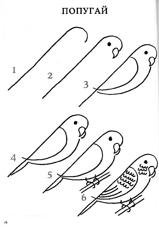 Иллюстрация 13 из 28 для Обучение рисованию. Рисуем животных | Лабиринт - книги. Источник: Росинка