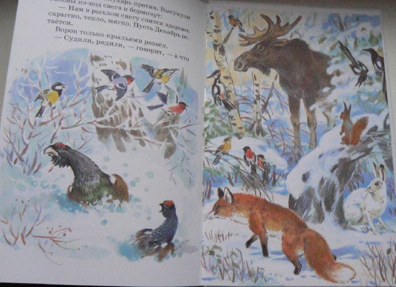 Иллюстрация 6 из 11 для Лесные сказки - Николай Сладков | Лабиринт - книги. Источник: -Ирина-