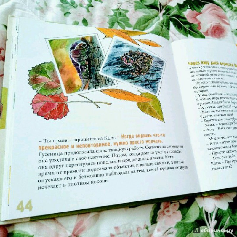 Иллюстрация 5 из 18 для Полет Гарпии - Елена Хаецкая | Лабиринт - книги. Источник: sarmonya