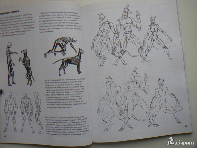 Иллюстрация 10 из 37 для Как рисовать фантастических героев комиксов - Стив Миллер | Лабиринт - книги. Источник: Анна Ванна