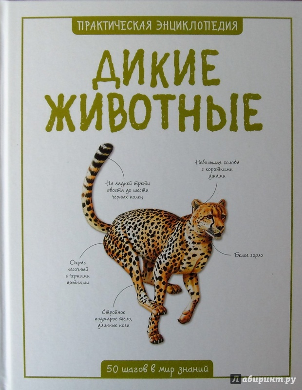 Иллюстрация 6 из 26 для Дикие животные - Салли Морган | Лабиринт - книги. Источник: Соловьев  Владимир