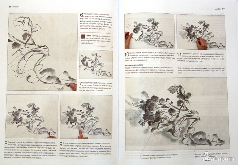 Иллюстрация 22 из 28 для Карандаши, ручки, пастель. От эскиза до картины - Ян, Ходжет | Лабиринт - книги. Источник: Sysoy