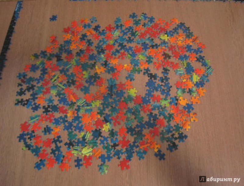 Иллюстрация 2 из 9 для Puzzle-1000 "Перья" Art Wolfe (29422) | Лабиринт - игрушки. Источник: Ольга
