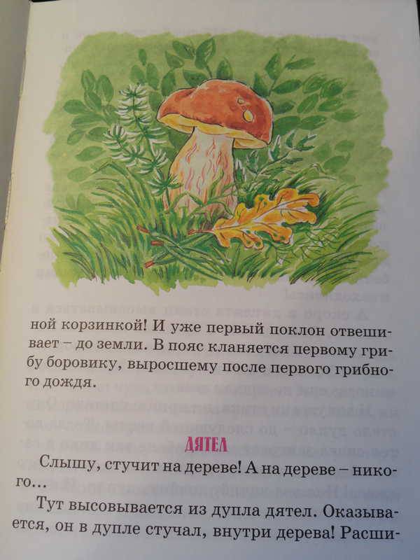 Иллюстрация 9 из 15 для Лесные шорохи - Николай Сладков | Лабиринт - книги. Источник: anandaplus