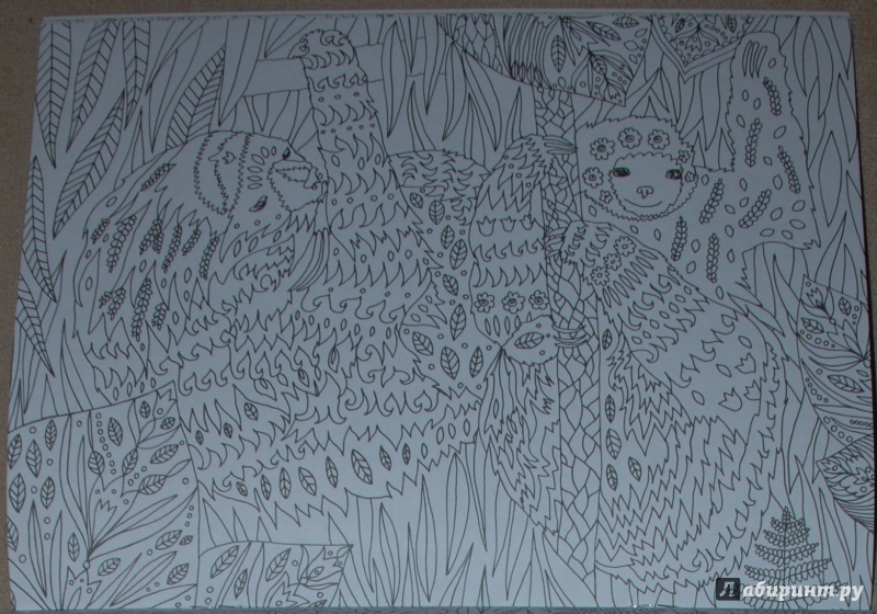 Иллюстрация 25 из 40 для Волшебный зоопарк. Прятки, загадки и раскраски | Лабиринт - книги. Источник: Книжный кот