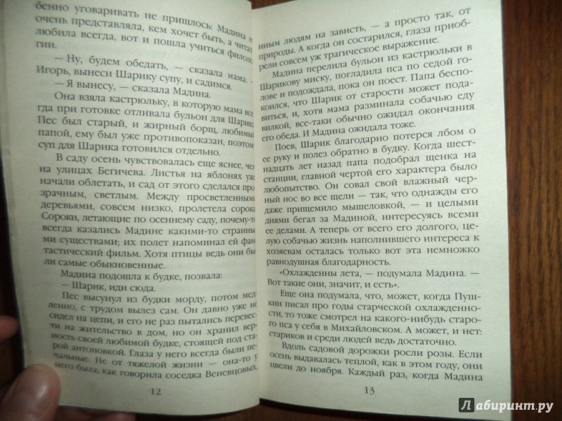 Иллюстрация 5 из 33 для Женщина из шелкового мира - Анна Берсенева | Лабиринт - книги. Источник: Kirill  Badulin