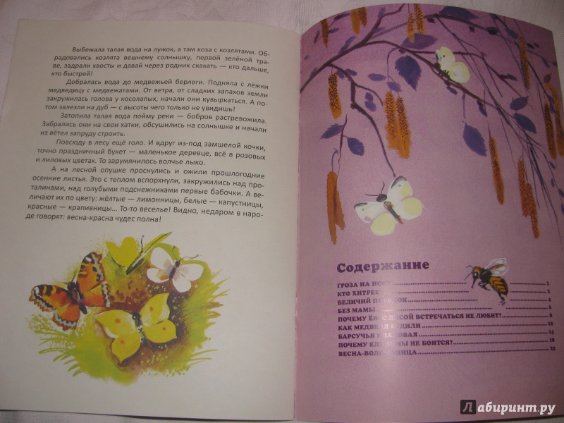 Иллюстрация 10 из 39 для Как медведя будили - Александр Барков | Лабиринт - книги. Источник: Лабиринт