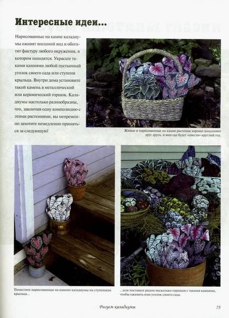 Иллюстрация 5 из 18 для Рисуем цветы на камнях. Оригинальные композиции для дома и сада - Лин Уэллфорд | Лабиринт - книги. Источник: * Ольга *