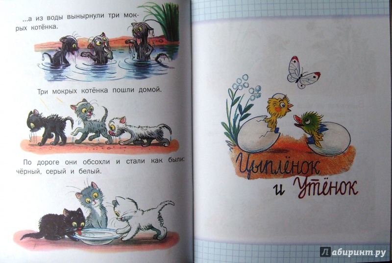 Иллюстрация 21 из 31 для Маленькие сказки - Владимир Сутеев | Лабиринт - книги. Источник: Соловьев  Владимир