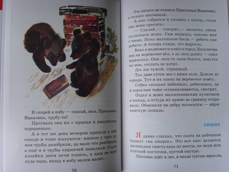 Иллюстрация 26 из 30 для Рассказы про зверей и птиц - Евгений Чарушин | Лабиринт - книги. Источник: aB-Ba