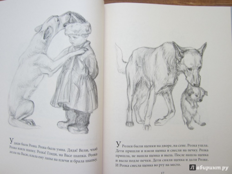 Иллюстрация 17 из 37 для Рассказы для детей - Лев Толстой | Лабиринт - книги. Источник: ЮлияО