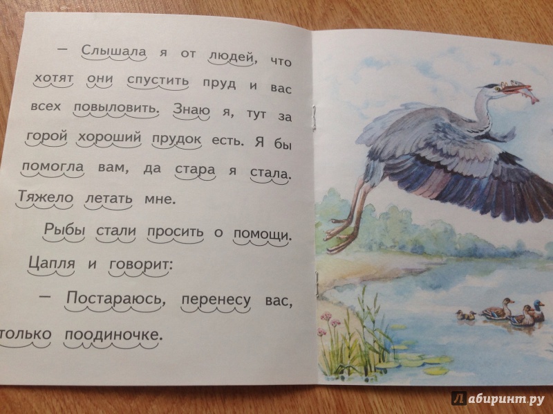 Иллюстрация 4 из 22 для Лисий хвост - Лев Толстой | Лабиринт - книги. Источник: Буторина  Маргарита