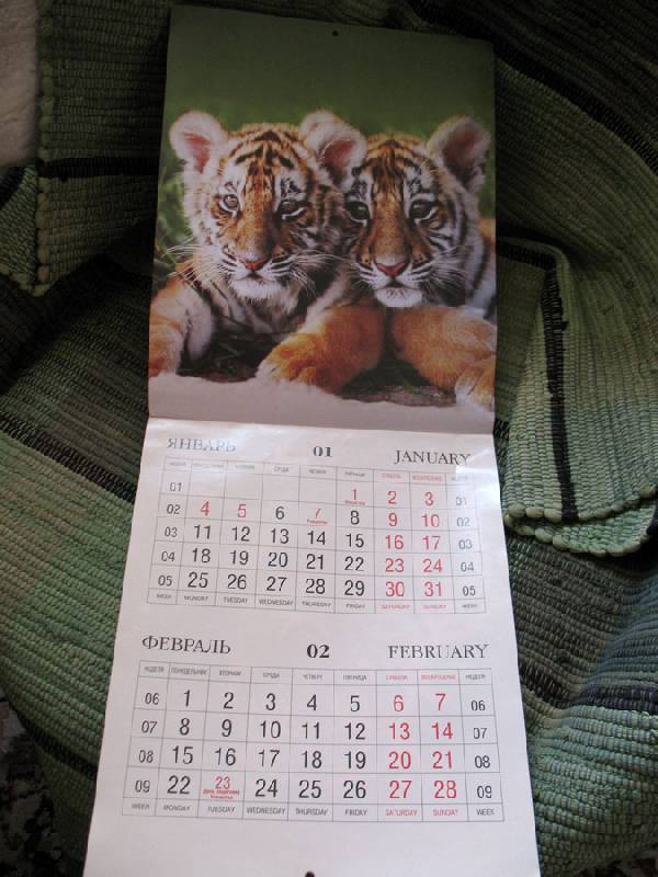Иллюстрация 1 из 18 для Календарь 2010 "Год Тигра" | Лабиринт - сувениры. Источник: Angostura