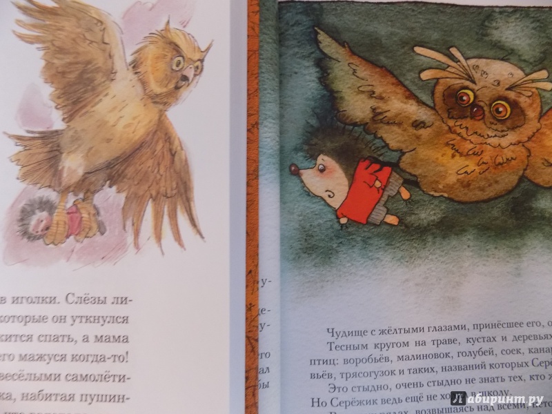 Иллюстрация 147 из 195 для Серёжик - Елена Ракитина | Лабиринт - книги. Источник: Георгий и Наташа