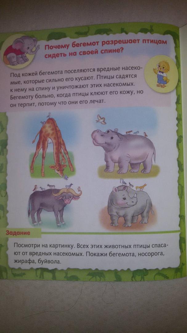 Иллюстрация 49 из 50 для О животных - Марина Султанова | Лабиринт - книги. Источник: Лабиринт