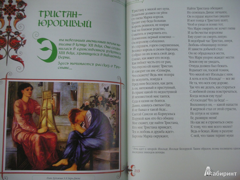 Иллюстрация 19 из 30 для Тристан и Изольда | Лабиринт - книги. Источник: Екатерина123