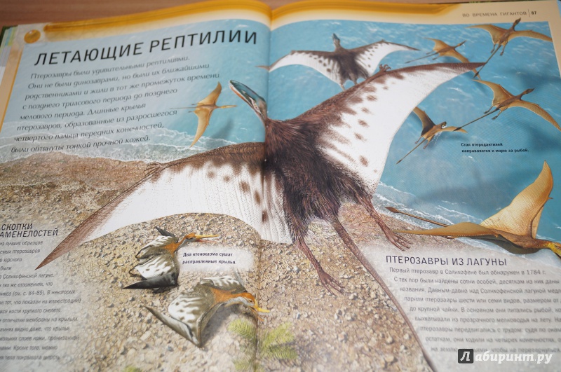 Иллюстрация 21 из 26 для Динозавры - Майк Бентон | Лабиринт - книги. Источник: Александрова(Климова) Мария