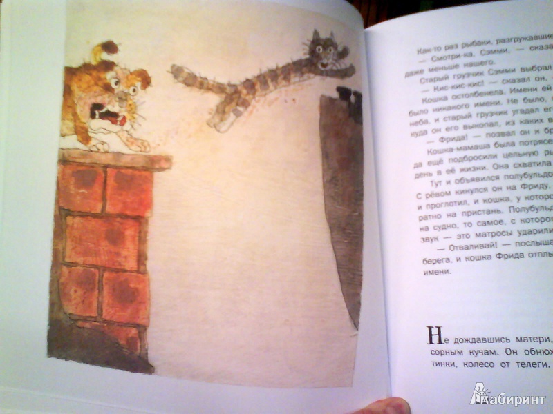 Иллюстрация 2 из 37 для Шамайка - королева кошек - Юрий Коваль | Лабиринт - книги. Источник: Мила