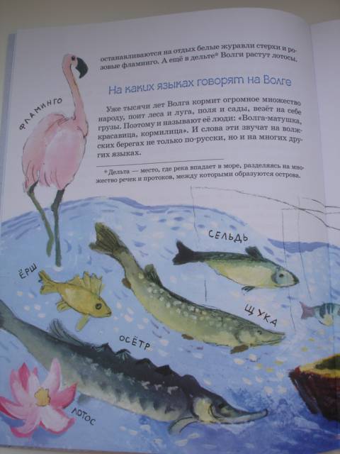 Иллюстрация 14 из 36 для Волга. От арбуза до мамонта - Наталия Соломко | Лабиринт - книги. Источник: Осьминожка