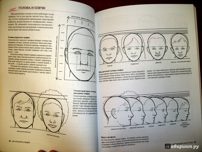 Иллюстрация 5 из 7 для Как рисовать людей - Уилленбринк, Уилленбринк | Лабиринт - книги. Источник: Kassavetes