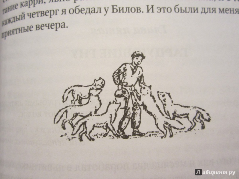 Иллюстрация 16 из 48 для Только звери - Джеральд Даррелл | Лабиринт - книги. Источник: ЮлияО