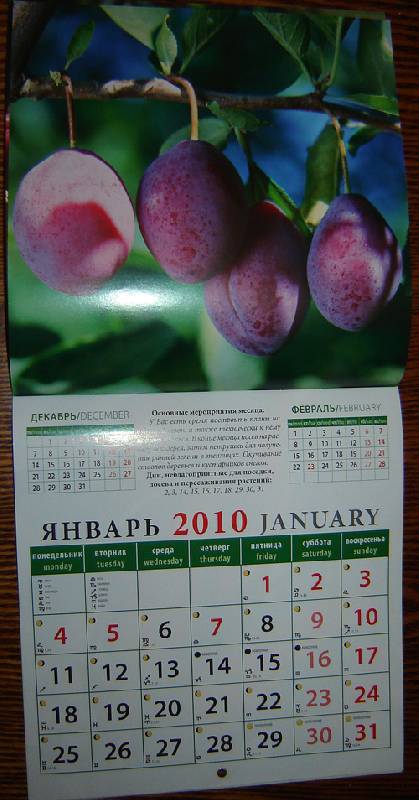 Иллюстрация 2 из 6 для Календарь. 2010 год. Лунный календарь (30909) | Лабиринт - сувениры. Источник: vybegasha