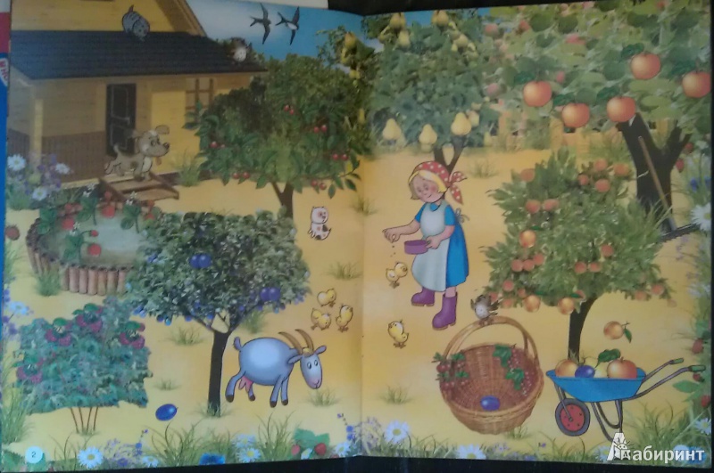 Иллюстрация 4 из 7 для Живая картинка. Овощи и фрукты. Что где растет? | Лабиринт - книги. Источник: Бельцова  Надежда