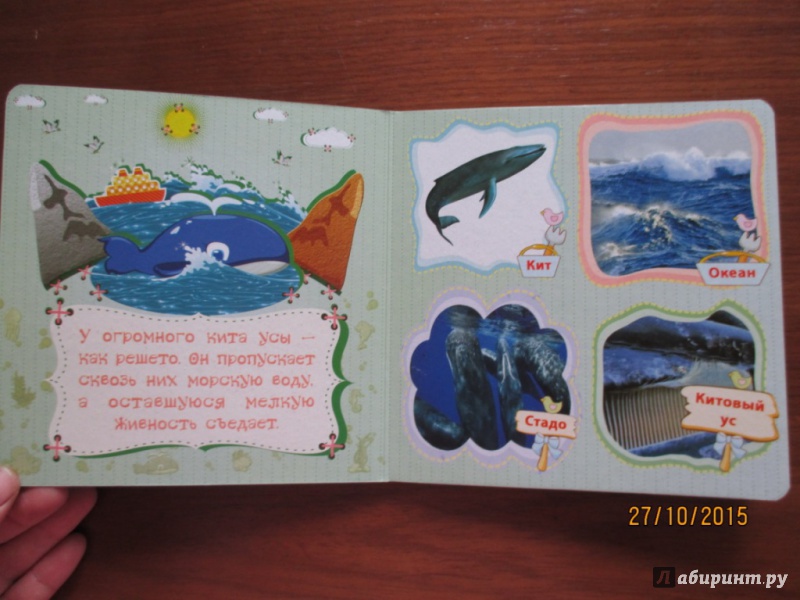 Иллюстрация 6 из 11 для Морские обитатели у себя дома - Вера Мельник | Лабиринт - книги. Источник: Марина Епифанцева