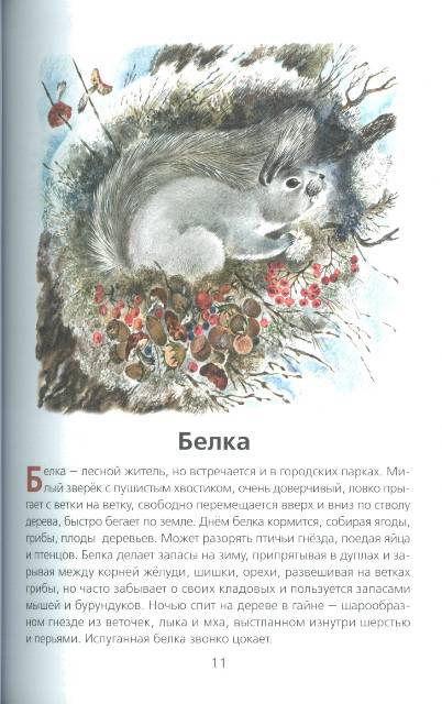 Иллюстрация 3 из 33 для Животные нашей страны - Владимир Храбрый | Лабиринт - книги. Источник: bel-k