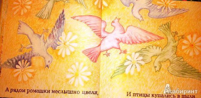 Иллюстрация 8 из 31 для Енот и бабочка - Александр Коняшов | Лабиринт - книги. Источник: ОксанаШ