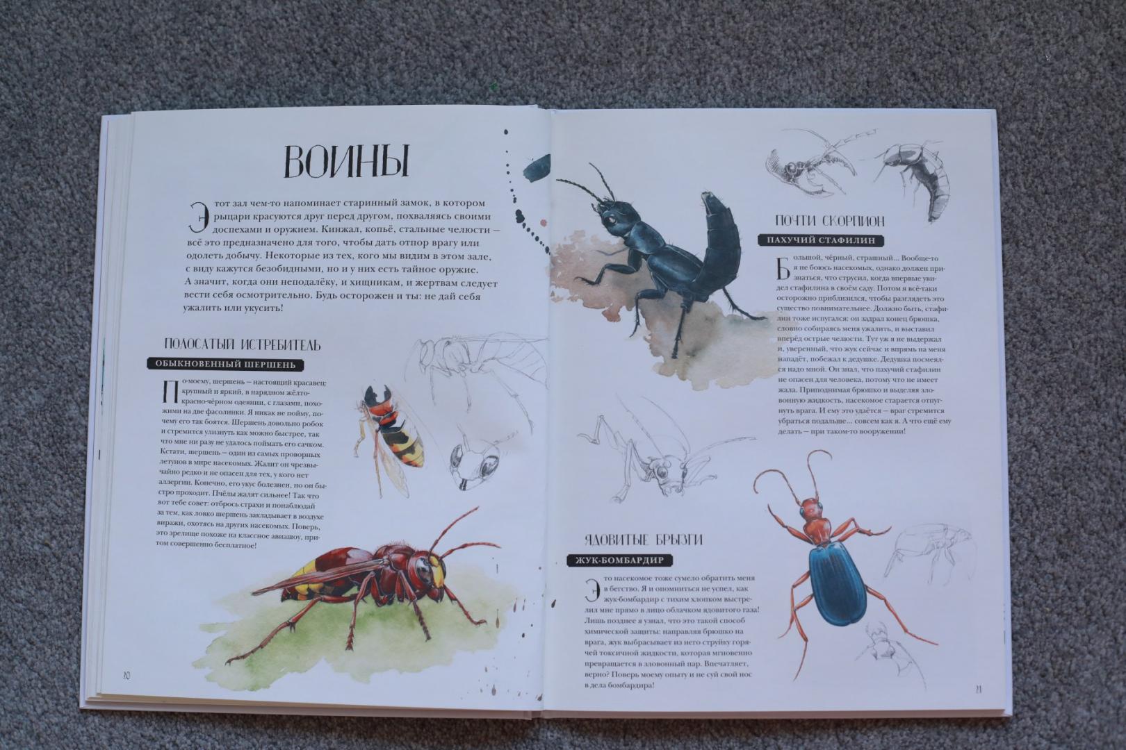 Иллюстрация 59 из 127 для Музей живых насекомых - Франсуа Лассерр | Лабиринт - книги. Источник: Масаева  Татьяна