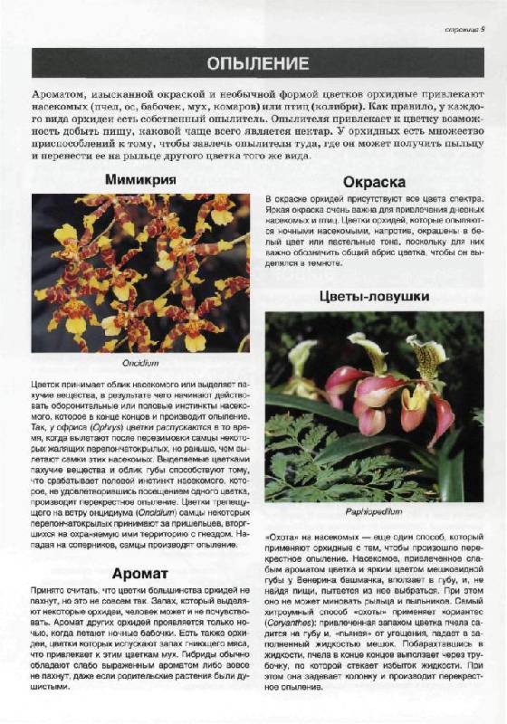 Иллюстрация 14 из 30 для Все об орхидеях - Дэвид Хессайон | Лабиринт - книги. Источник: Юта