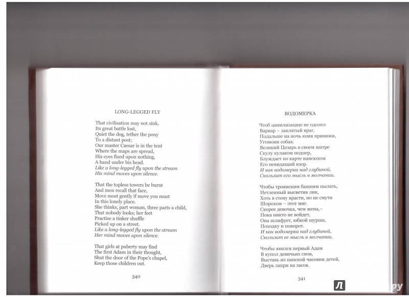 Иллюстрация 42 из 65 для Стихотворения - Уильям Йейтс | Лабиринт - книги. Источник: Скоков  Сергей