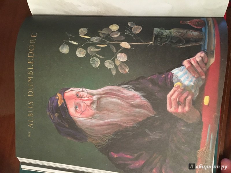 Иллюстрация 101 из 127 для Гарри Поттер и Философский камень (с цветными иллюстрациями) - Джоан Роулинг | Лабиринт - книги. Источник: Лабиринт