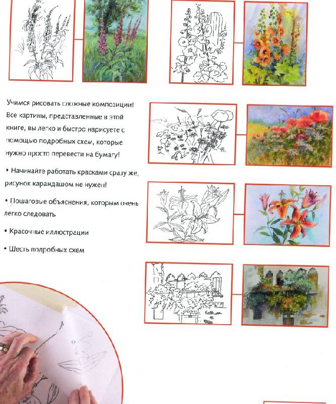 Иллюстрация 2 из 4 для Рисуем по схемам: Цветы: Акрил - Венди Джелберт | Лабиринт - книги. Источник: ТТ
