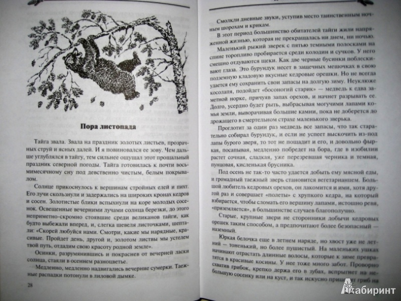 Иллюстрация 4 из 12 для Дикие камни - Константин Янковский | Лабиринт - книги. Источник: Макарова  Елена