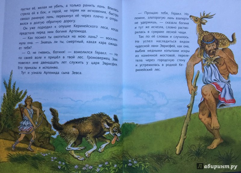 Иллюстрация 7 из 34 для Двенадцать подвигов Геракла | Лабиринт - книги. Источник: Умная Дуня
