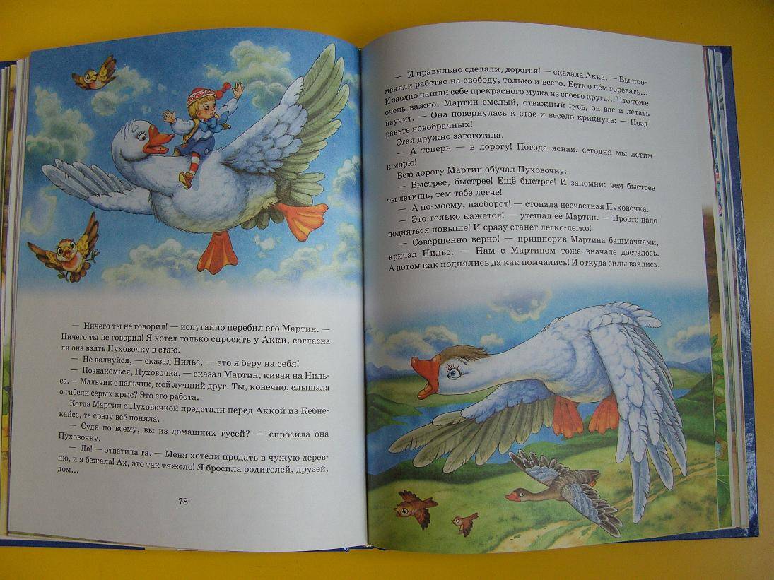 Иллюстрация 12 из 19 для Сказочное путешествие Нильса с дикими гусями - Сельма Лагерлеф | Лабиринт - книги. Источник: мама малыша