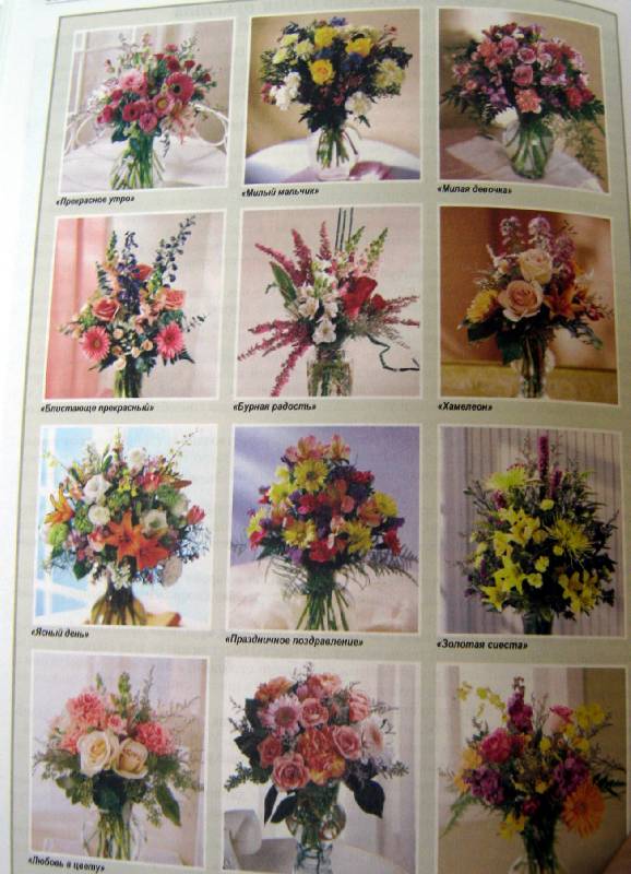 Иллюстрация 5 из 10 для Все о любимых цветах - Ганичкина, Ганичкин | Лабиринт - книги. Источник: Спанч Боб