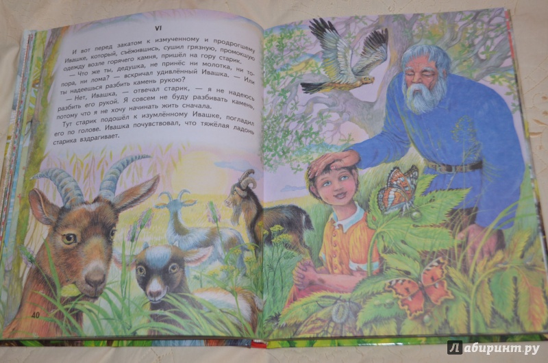 Иллюстрация 19 из 34 для Рассказы и сказки - Аркадий Гайдар | Лабиринт - книги. Источник: Deva*Ira