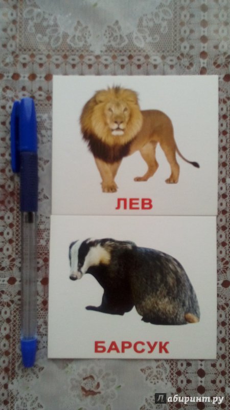Иллюстрация 21 из 34 для Комплект мини-карточек "Дикие животные" | Лабиринт - игрушки. Источник: Шарова  Юлия
