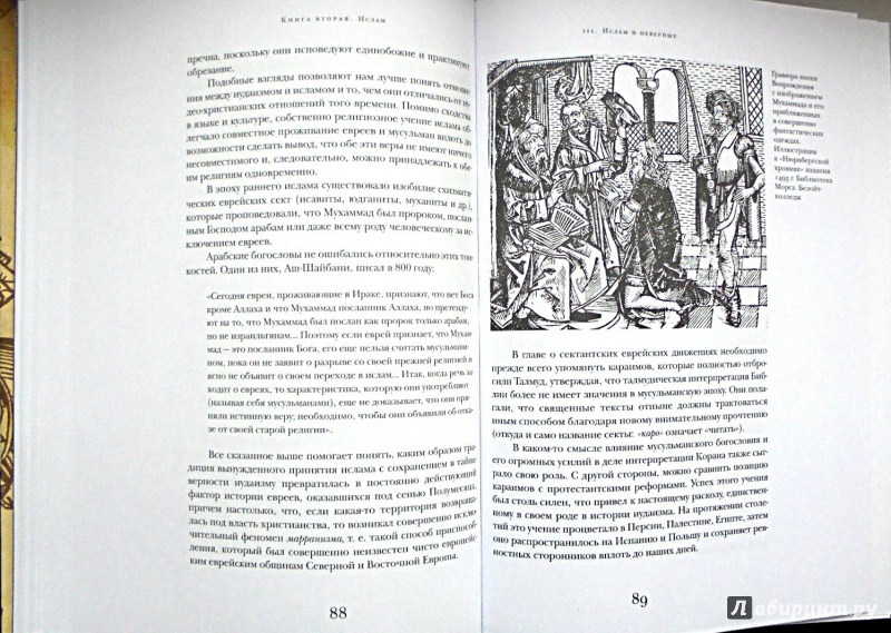 Иллюстрация 6 из 30 для История антисемитизма. В двух томах. Том 1, 2 - Лев Поляков | Лабиринт - книги. Источник: Александр Н.