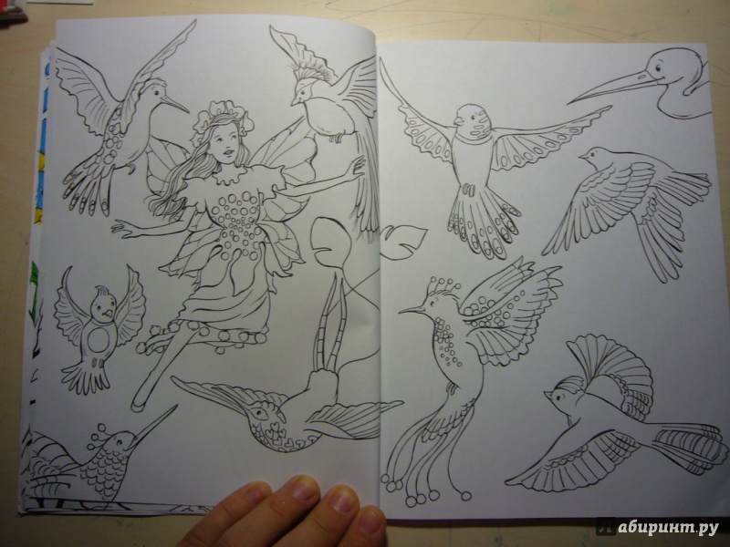 Иллюстрация 22 из 34 для Сказочные феи. Раскраска | Лабиринт - книги. Источник: Горяева  Любовь
