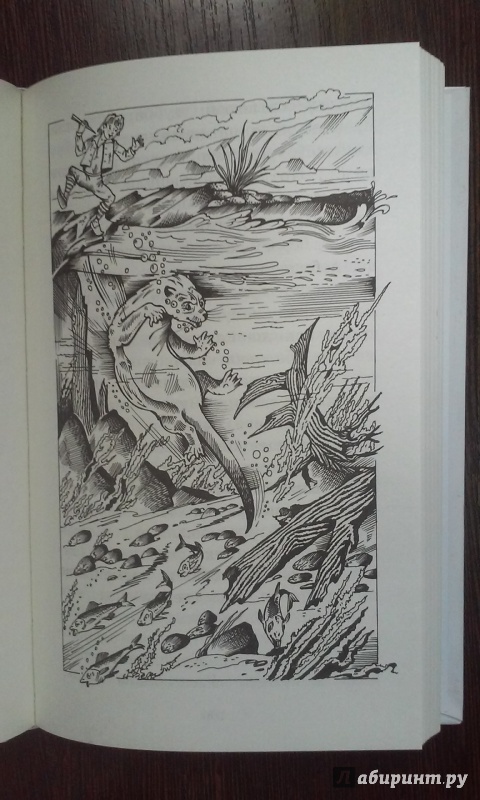 Иллюстрация 15 из 19 для Удивительное путешествие Нильса Хольгерсона с дикими гусями - Сельма Лагерлеф | Лабиринт - книги. Источник: Лабиринт