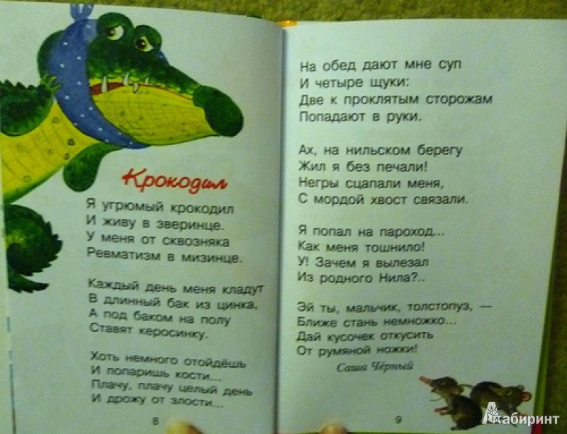 Песня бестолковый крокодил. Стихотворение про крокодила. Стихотворение про крокодилов?. Стих про крокодила для детей. Черный стихотворение крокодил.