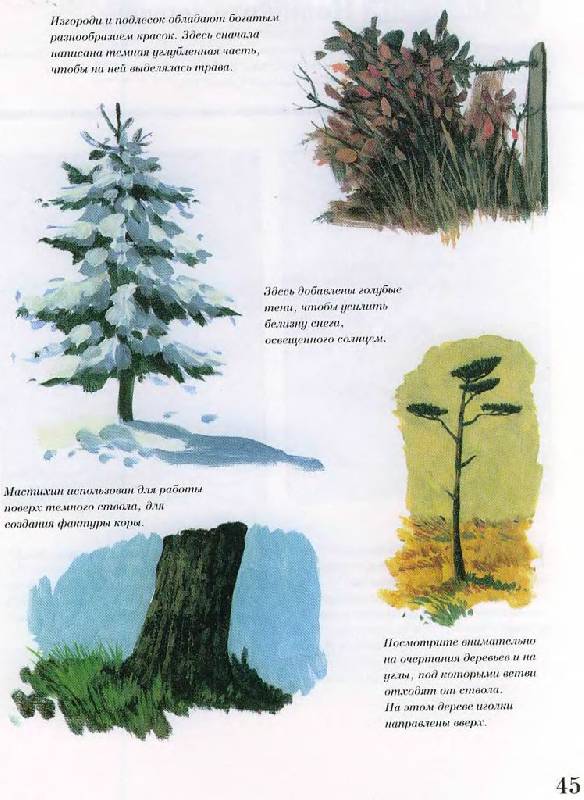Иллюстрация 14 из 35 для Как рисовать масляными красками - Линда Бирч | Лабиринт - книги. Источник: Юта
